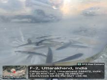 VPHEP, Pipalkoti Organizes Ranching and Awareness Program to Conserve Snow Trout