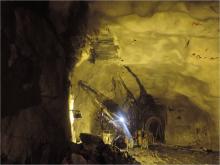 Power House Crown Slashing 29.01.17.jpg